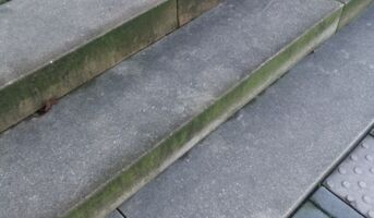 KontraGraffiti entfernt Algen und Moose, um rutschige Gefahren zu beseitigen.